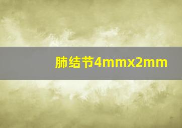 肺结节4mmx2mm