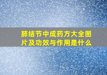 肺结节中成药方大全图片及功效与作用是什么