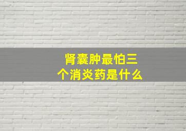 肾囊肿最怕三个消炎药是什么