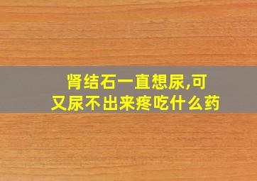 肾结石一直想尿,可又尿不出来疼吃什么药