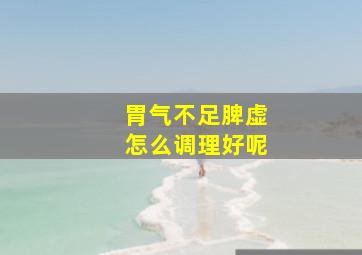 胃气不足脾虚怎么调理好呢