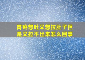 胃疼想吐又想拉肚子但是又拉不出来怎么回事