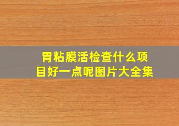 胃粘膜活检查什么项目好一点呢图片大全集