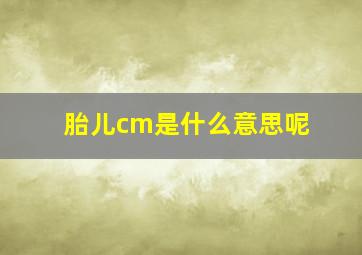 胎儿cm是什么意思呢