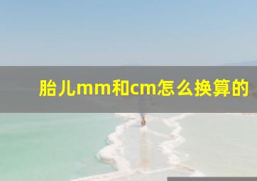 胎儿mm和cm怎么换算的