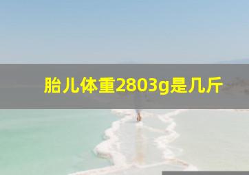 胎儿体重2803g是几斤