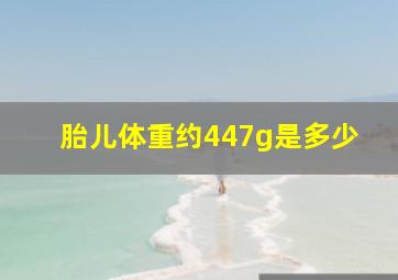 胎儿体重约447g是多少