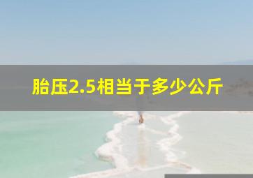 胎压2.5相当于多少公斤