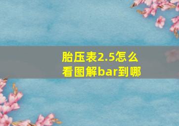 胎压表2.5怎么看图解bar到哪