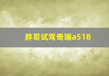 胖哥试驾奇瑞a518