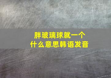 胖玻璃球就一个什么意思韩语发音