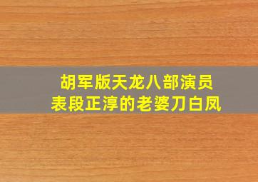 胡军版天龙八部演员表段正淳的老婆刀白凤