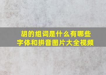 胡的组词是什么有哪些字体和拼音图片大全视频