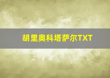 胡里奥科塔萨尔TXT