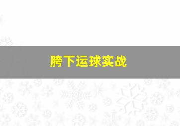 胯下运球实战