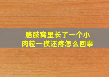 胳肢窝里长了一个小肉粒一摸还疼怎么回事