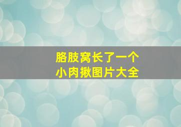 胳肢窝长了一个小肉揪图片大全