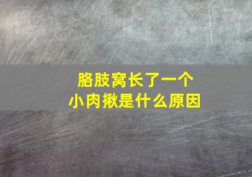 胳肢窝长了一个小肉揪是什么原因