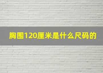 胸围120厘米是什么尺码的