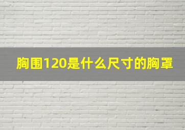 胸围120是什么尺寸的胸罩