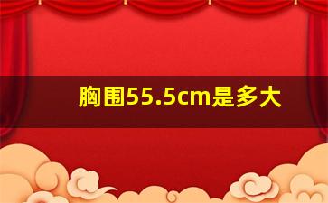 胸围55.5cm是多大