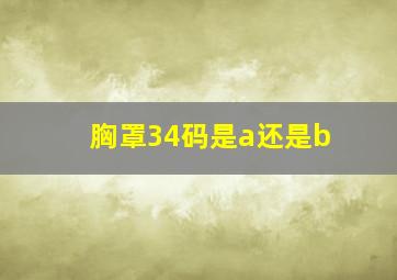 胸罩34码是a还是b