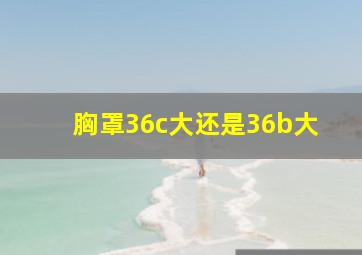 胸罩36c大还是36b大