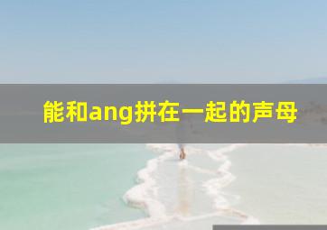 能和ang拼在一起的声母