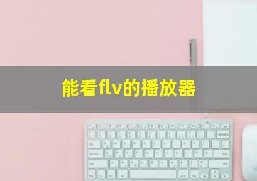 能看flv的播放器