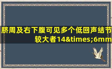 脐周及右下腹可见多个低回声结节较大者14×6mm