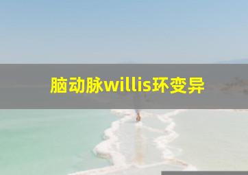 脑动脉willis环变异