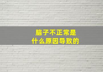 脑子不正常是什么原因导致的