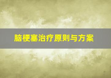 脑梗塞治疗原则与方案