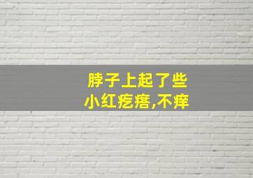 脖子上起了些小红疙瘩,不痒