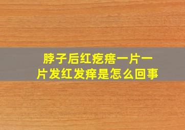 脖子后红疙瘩一片一片发红发痒是怎么回事