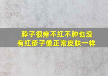 脖子很痒不红不肿也没有红疹子像正常皮肤一样