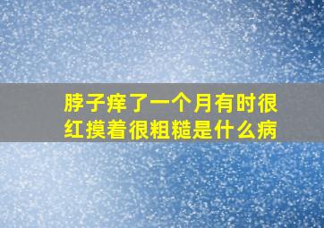 脖子痒了一个月有时很红摸着很粗糙是什么病