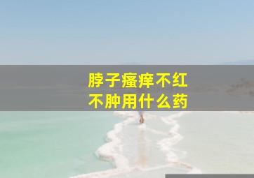 脖子瘙痒不红不肿用什么药