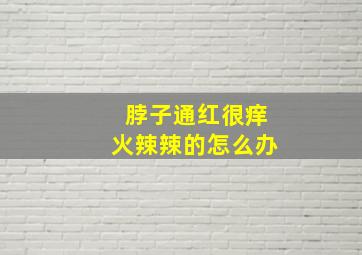 脖子通红很痒火辣辣的怎么办