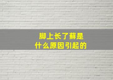 脚上长了藓是什么原因引起的