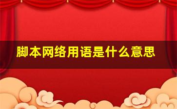 脚本网络用语是什么意思