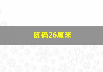 脚码26厘米