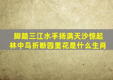 脚踏三江水手扬满天沙惊起林中鸟折断园里花是什么生肖