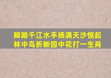 脚踏千江水手扬满天沙惊起林中鸟折断园中花打一生肖