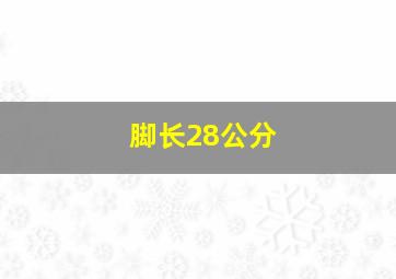 脚长28公分