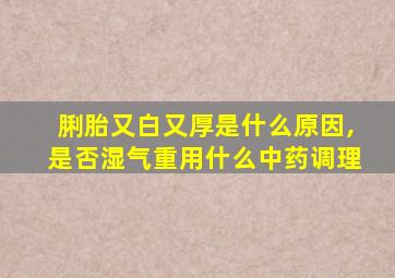 脷胎又白又厚是什么原因,是否湿气重用什么中药调理