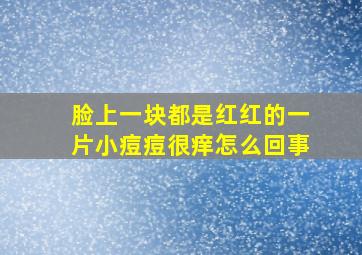 脸上一块都是红红的一片小痘痘很痒怎么回事