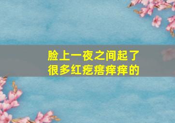 脸上一夜之间起了很多红疙瘩痒痒的