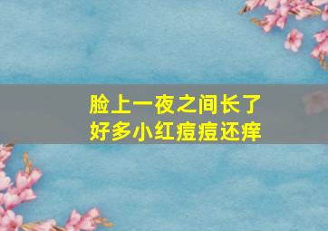 脸上一夜之间长了好多小红痘痘还痒