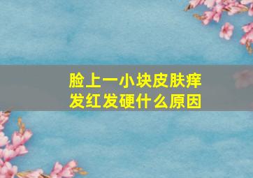 脸上一小块皮肤痒发红发硬什么原因